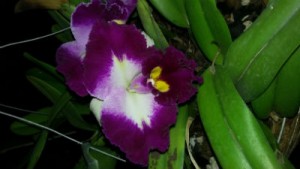 LO QUE DICEN NUESTROS CLIENTES